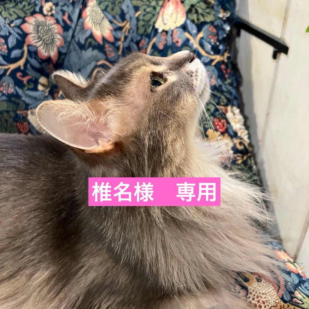 椎名
